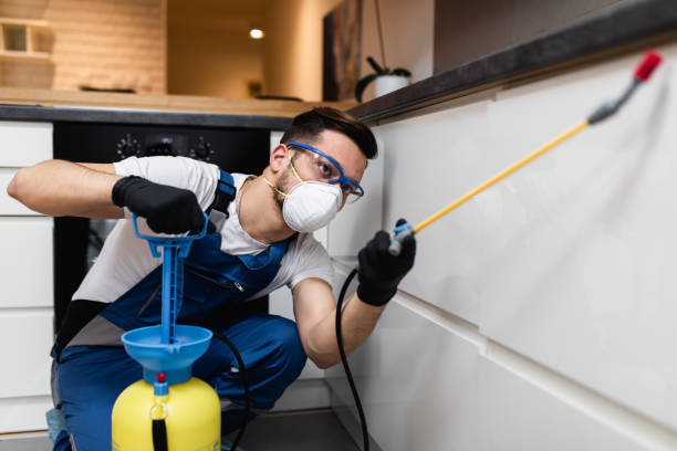 Best Emergency Pest Control  in Van Horn, TX