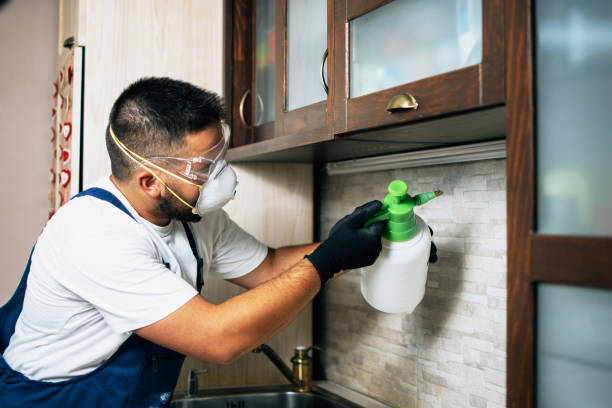 Reliable Van Horn, TX Pest Control Solutions