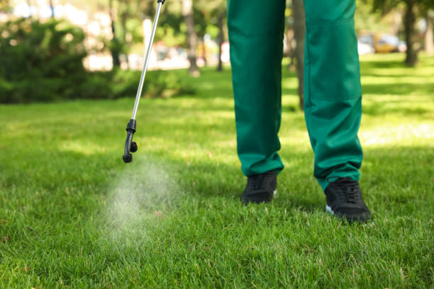 Best Pest Control for Homes  in Van Horn, TX