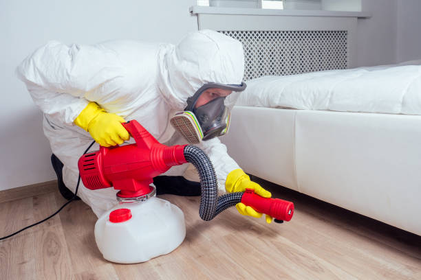 Best Local Pest Control Services  in Van Horn, TX