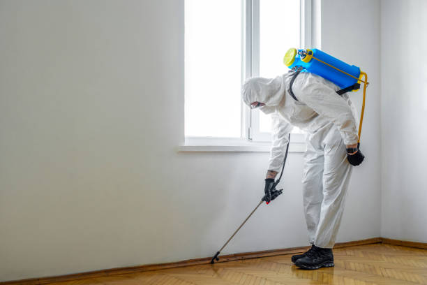 Pest Control Cost in Van Horn, TX