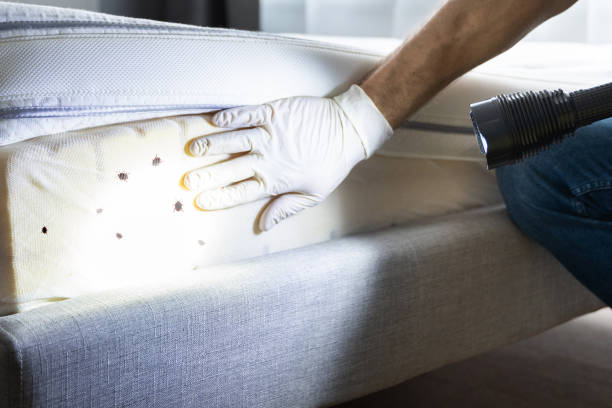 Best Best Pest Control Companies  in Van Horn, TX