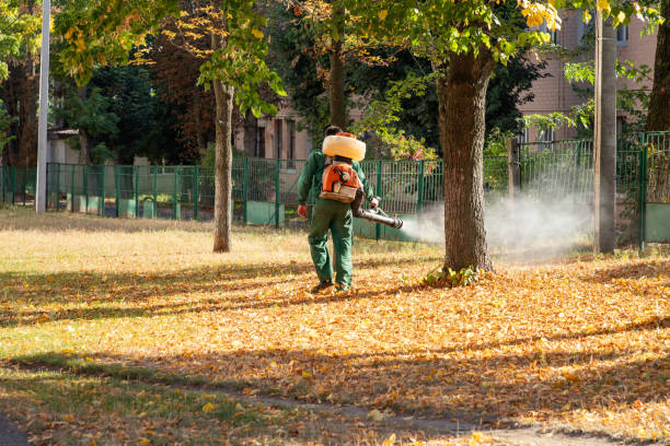 Best Mosquito Control Services  in Van Horn, TX