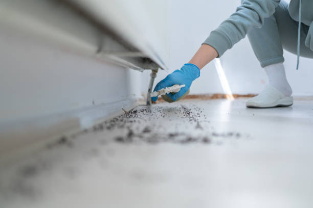 Wildlife Control Services in Van Horn, TX